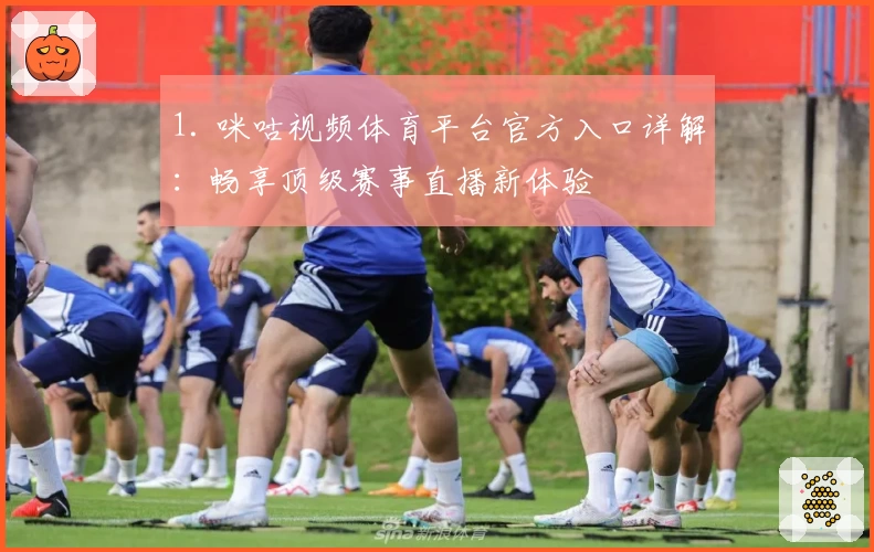 1. 咪咕视频体育平台官方入口详解：畅享顶级赛事直播新体验
